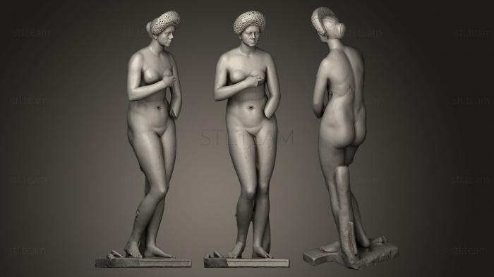 3D model Marcia Furnilla (STL)